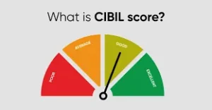 CIBIL Score Guide